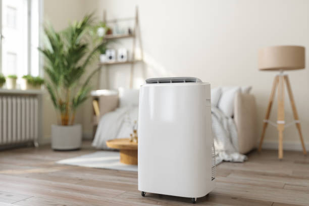 Best Ductless HVAC Repair  in Kincaid, IL